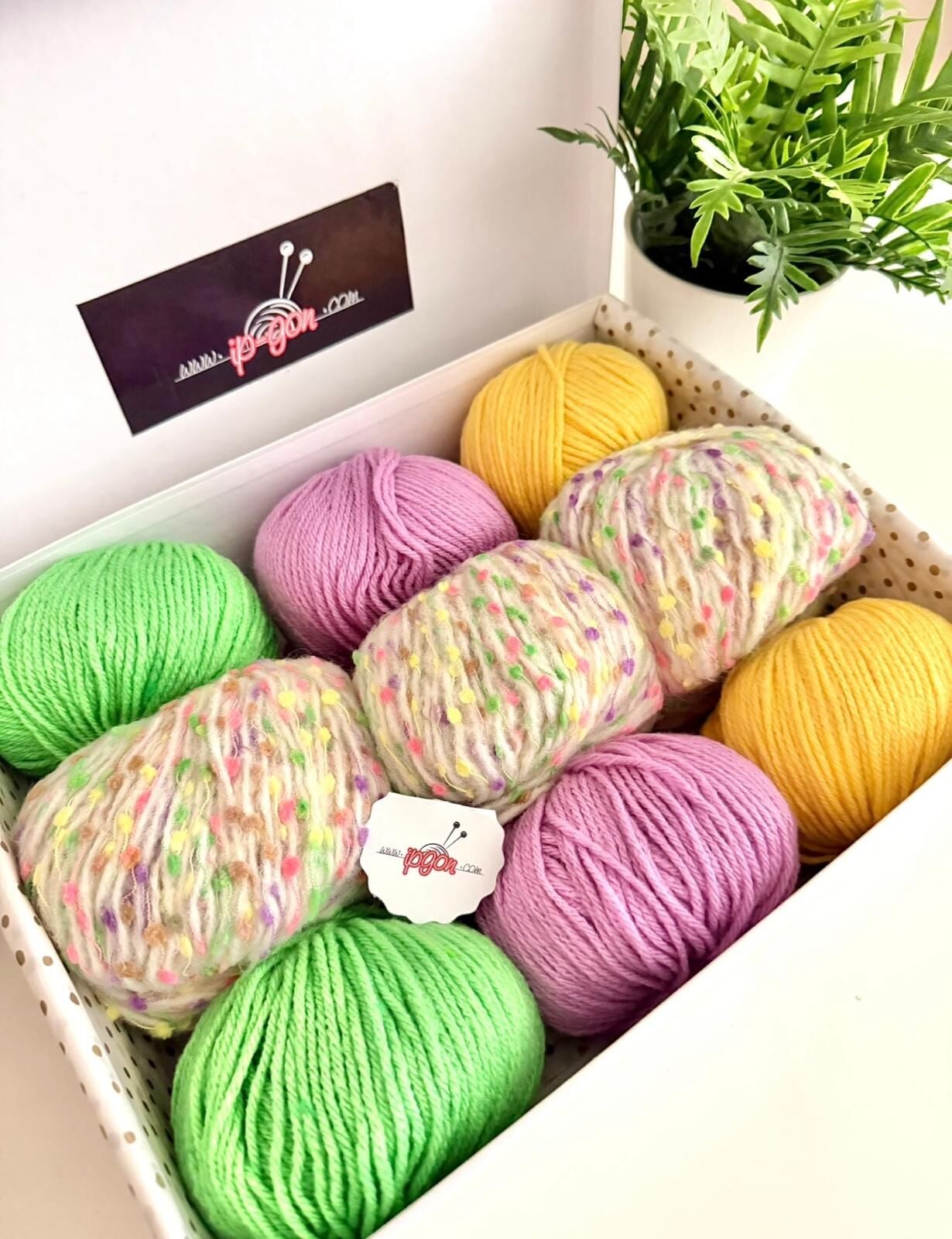 KUTU SETİMİZ HİMALAYA ARYA & GALA MERİNO 78