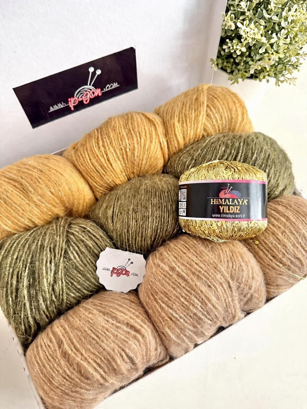 KUTU SETİMİZ ROZETTİ TILSIM & HİMALAYA YILDIZ 85