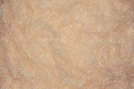 LOLİPOP SOMON 20905