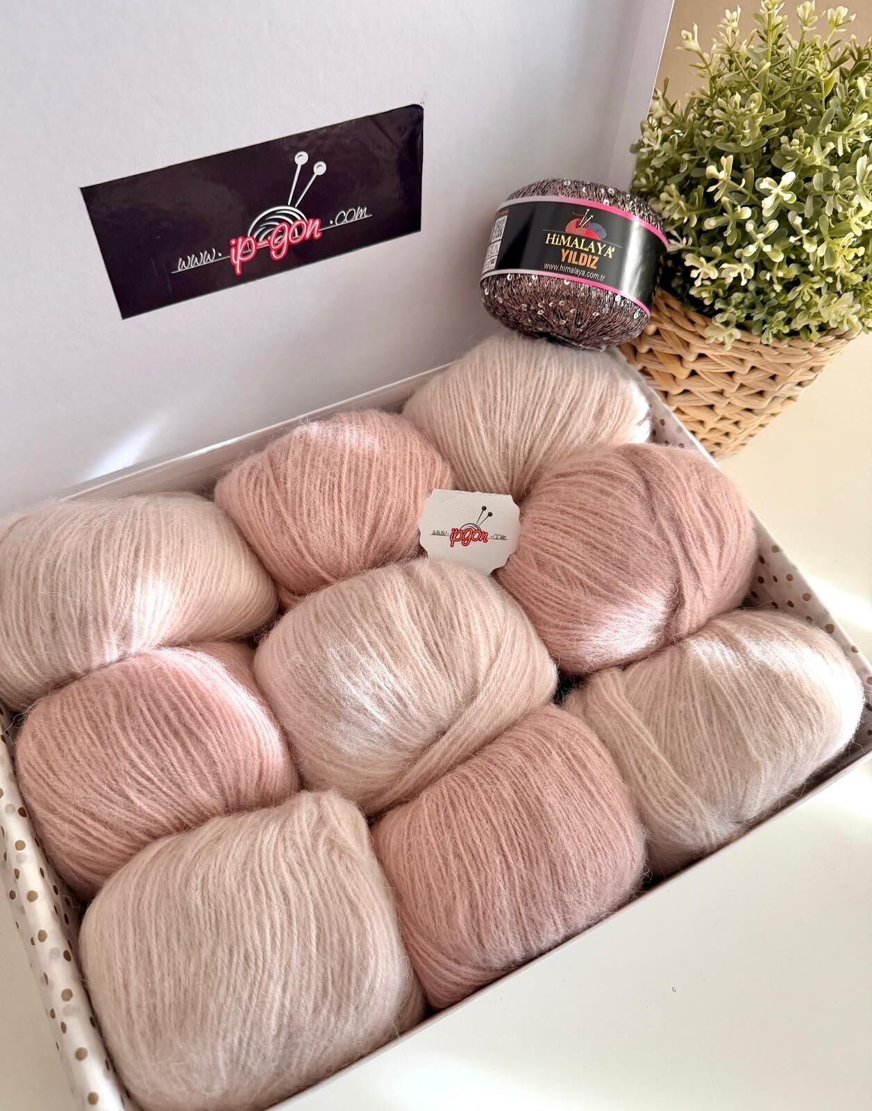 KUTU SETİMİZ HİMALAYA ULTRA KAŞMİR & YILDIZ 03