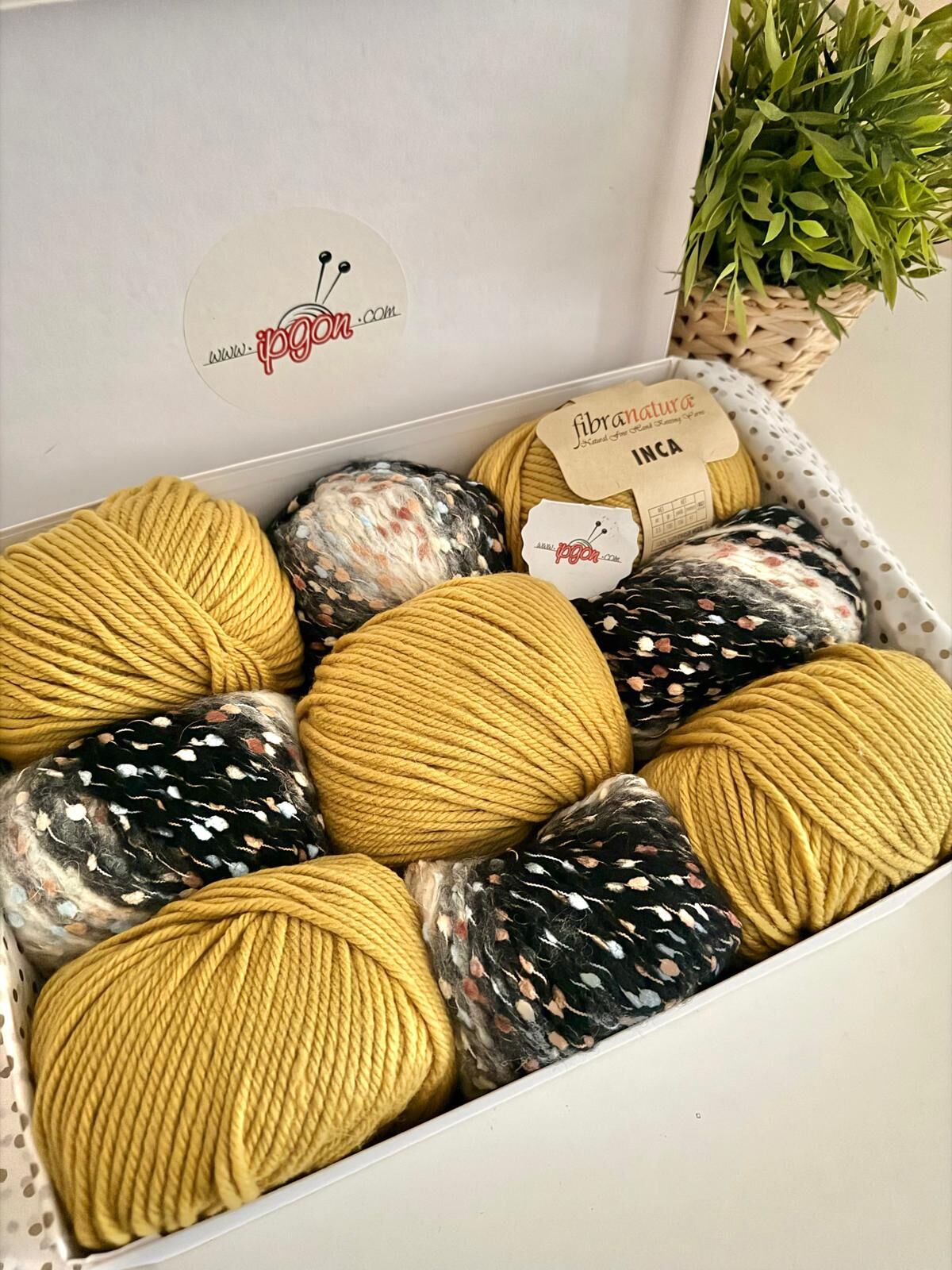 KUTU SETİMİZ FIBRA NATURA INCA & HİMALAYA ARYA 18