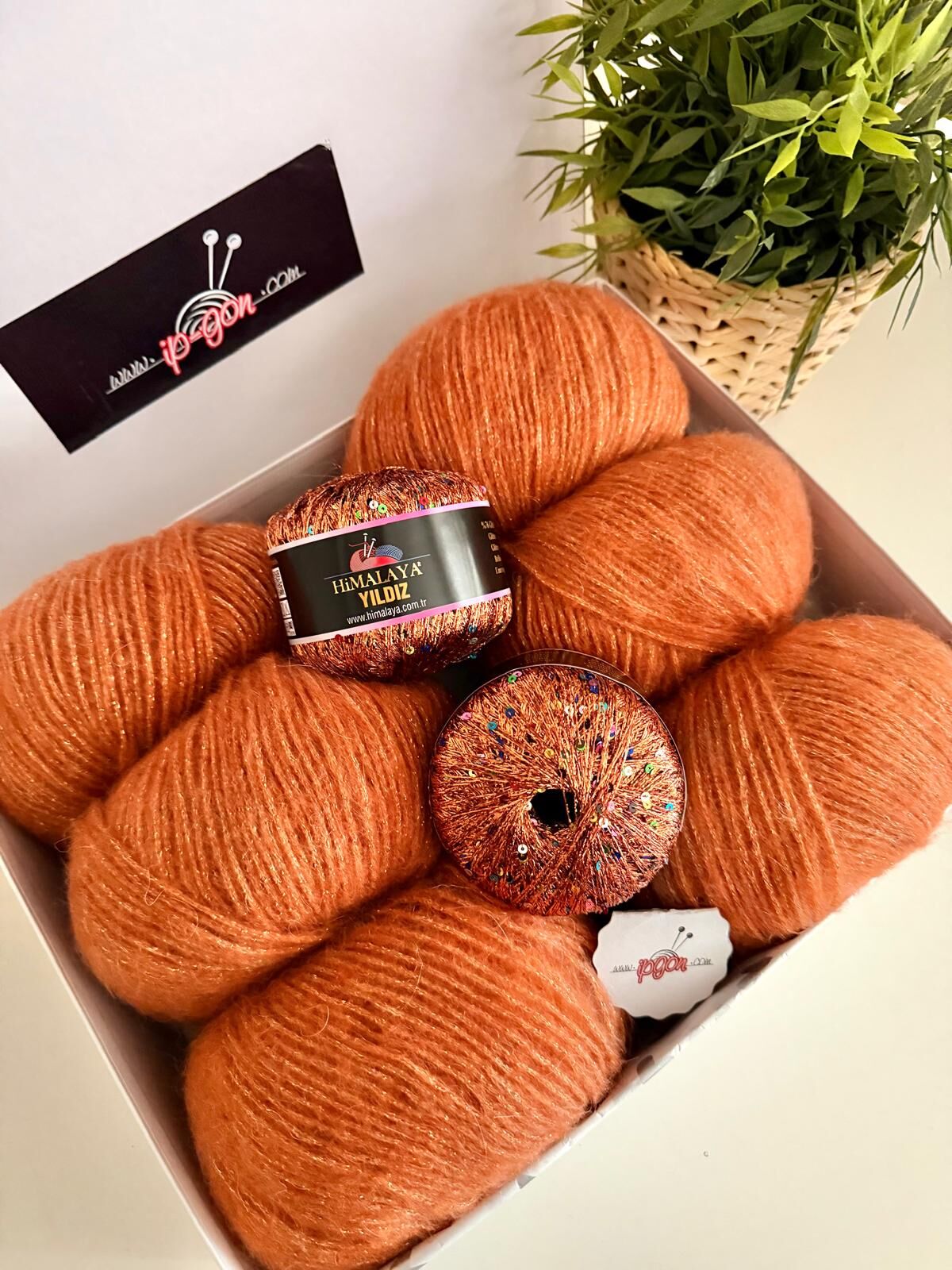 KUTU SETİMİZ ROZETTİ TILSIM & HİMALAYA YILDIZ 19