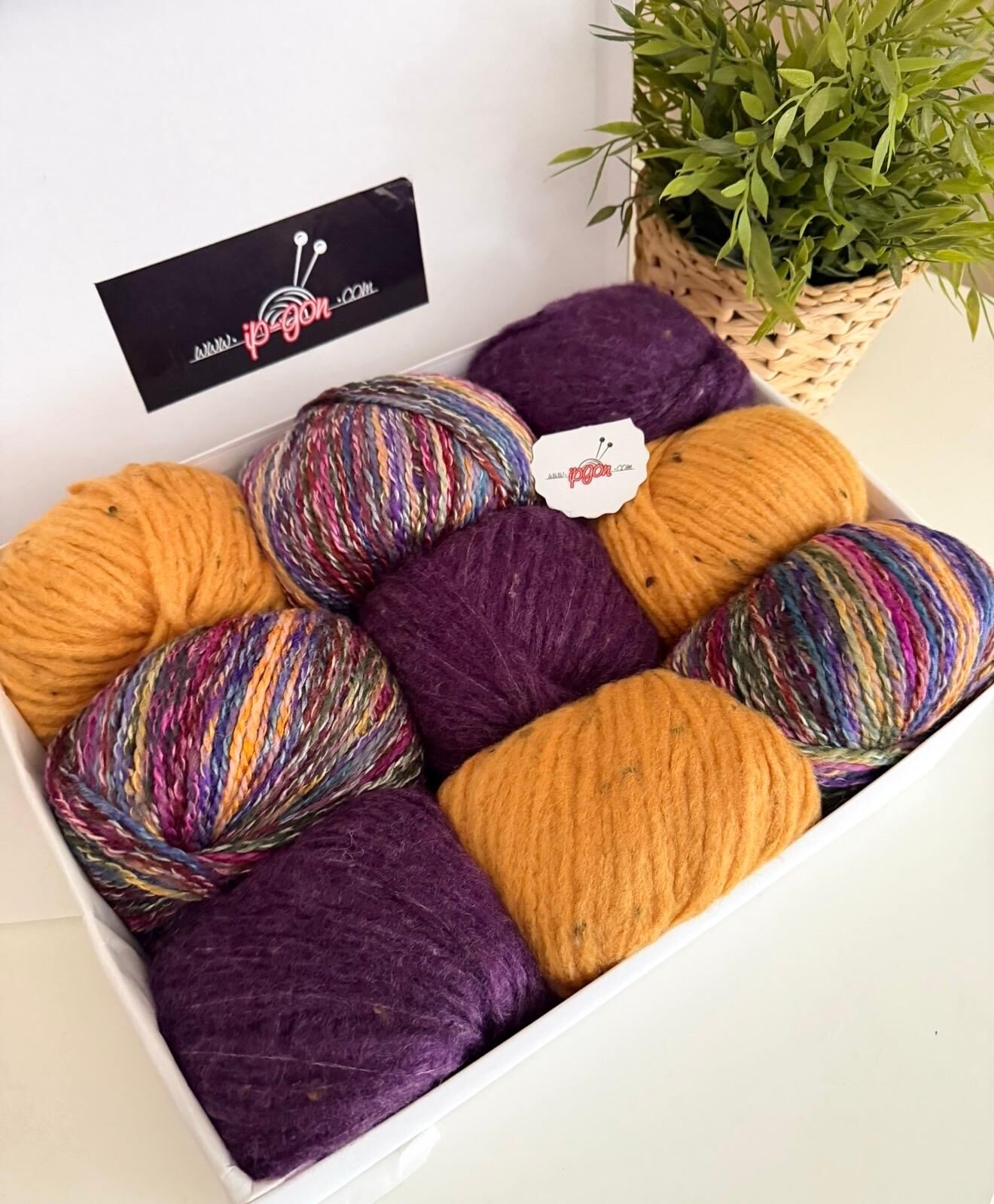 KUTU SETİMİZ HİMALAYA PALMA & HİMALAYA NORDIC 029