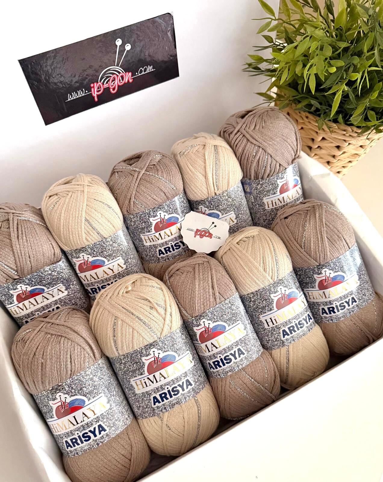 KUTU SETİMİZ HİMALAYA ARİSYA 31