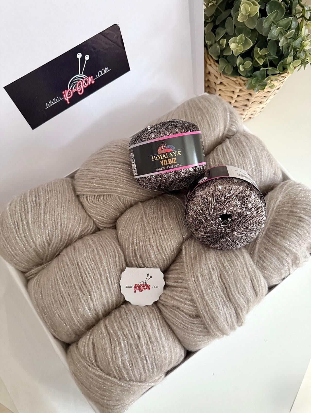 KUTU SETİMİZ ROZETTİ TILSIM & HİMALAYA YILDIZ 35