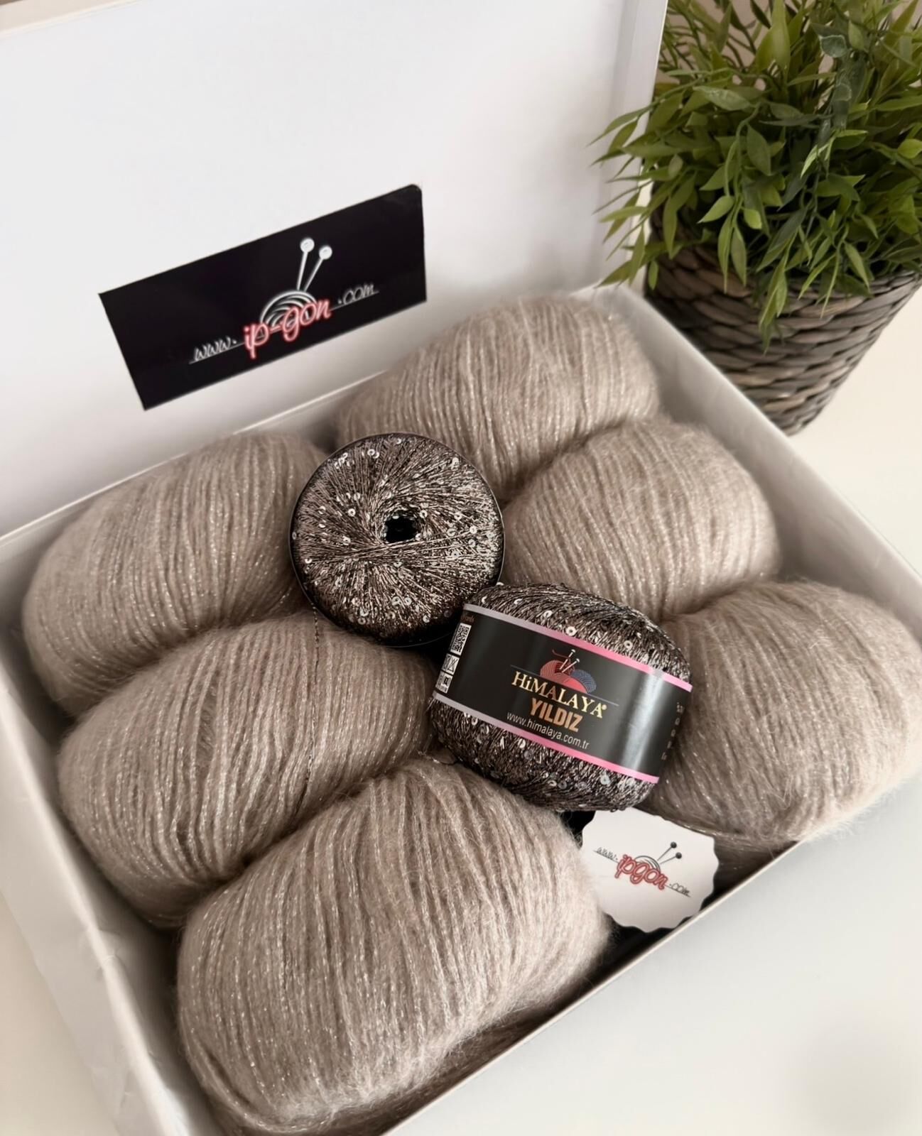 KUTU SETİMİZ ROZETTİ TILSIM & HİMALAYA YILDIZ 46